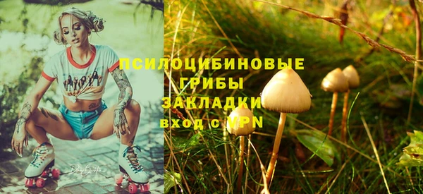 мяу мяу мука Михайлов