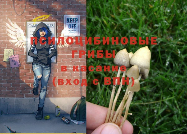 мескалин Медногорск
