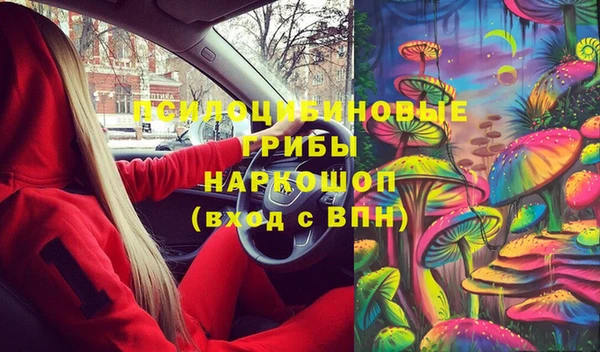 мяу мяу мука Михайлов