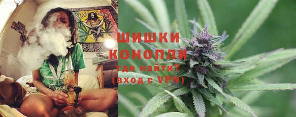 СК Михайловск