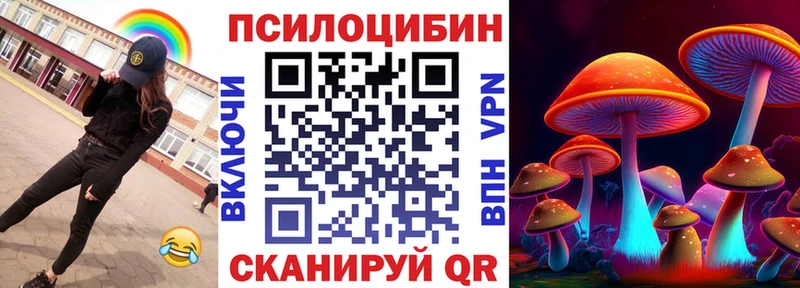 Псилоцибиновые грибы прущие грибы  где купить наркотик  Калтан 